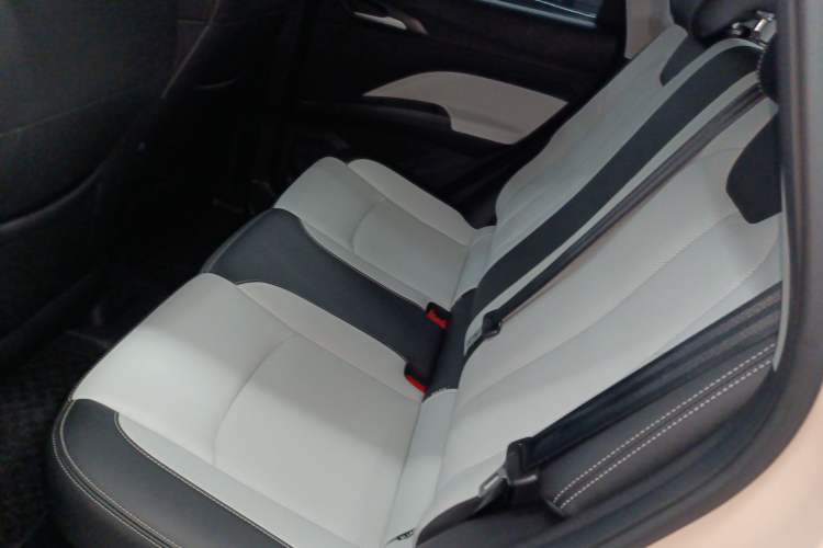 Used NETA AYA 2023 401 Lite Interior 4