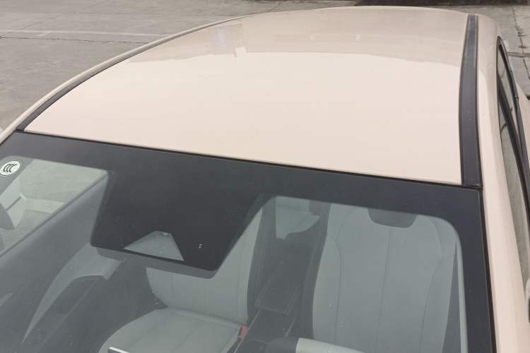 Used NETA AYA 2023 401 Roof