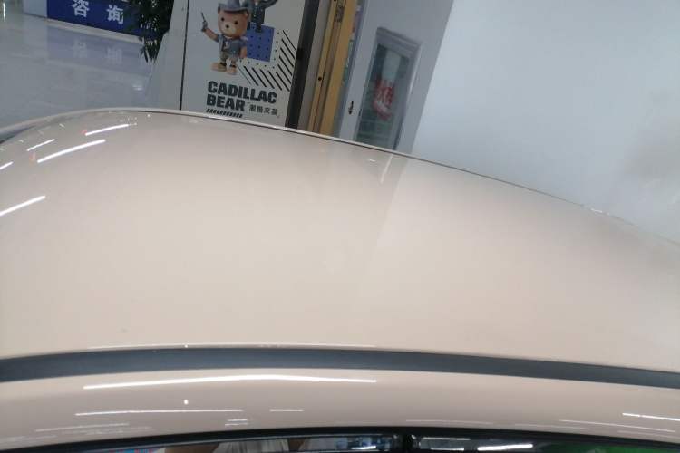 Used NETA AYA 2023 Revised Version 401 Lite Roof