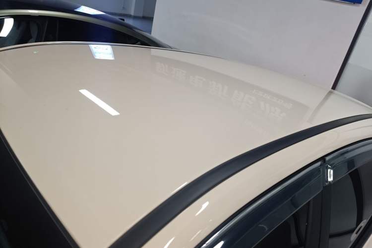 Used NETA AYA 2023 401 Lite Roof