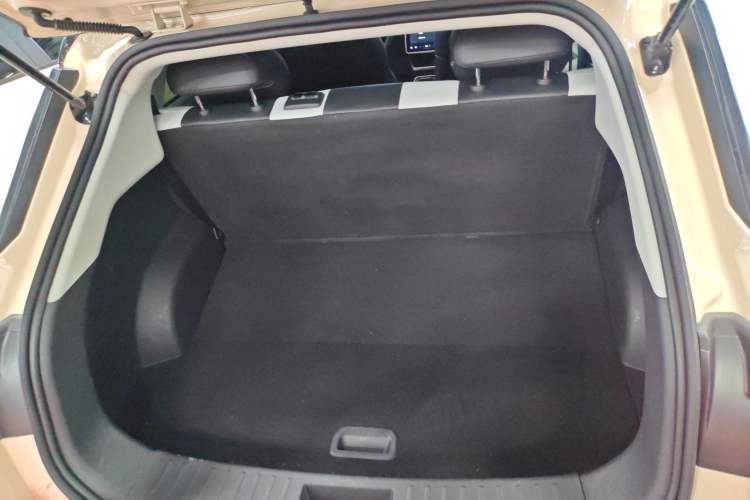 Used NETA AYA 2023 401 Trunk