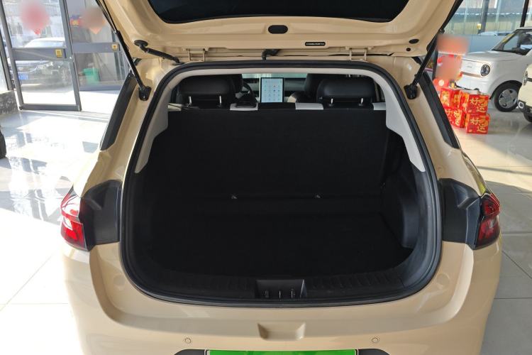 Used NETA AYA 2023 401 Trunk