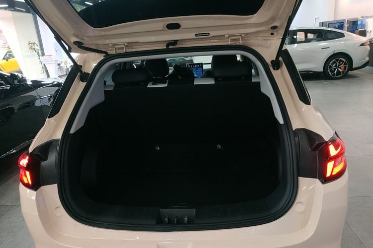 Used NETA AYA 2023 401 Lite Trunk