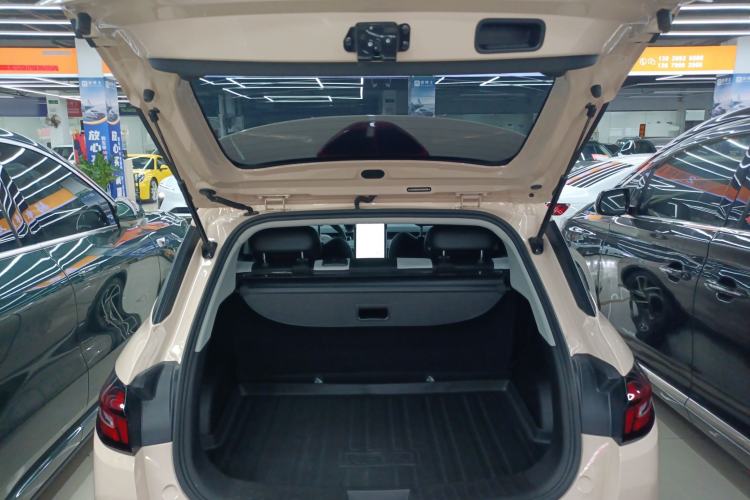 Used NETA AYA 2023 401 Lite Trunk