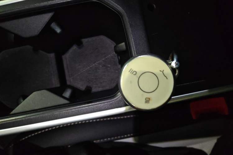 Used NETA AYA 2023 401 Vehicle Key