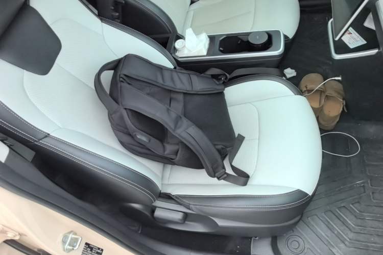 Used NETA AYA 2023 Revised Version 401 Lite Right Front Seat