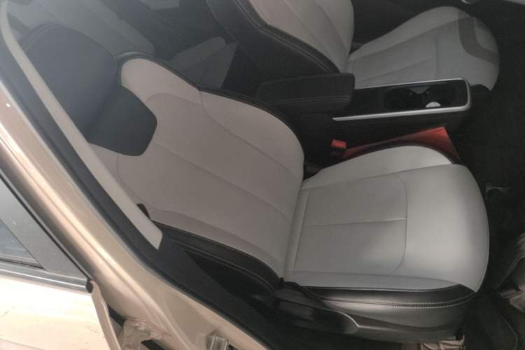 Used NETA AYA 2023 318 Lite Right Front Seat