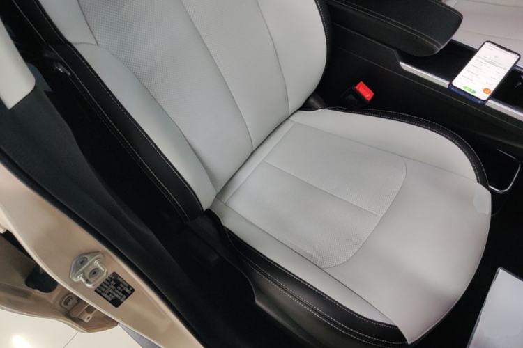 Used NETA AYA 2023 401 Lite Right Front Seat