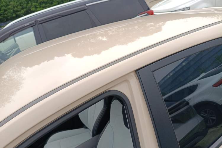 Used NETA AYA 2023 318 Lite Roof