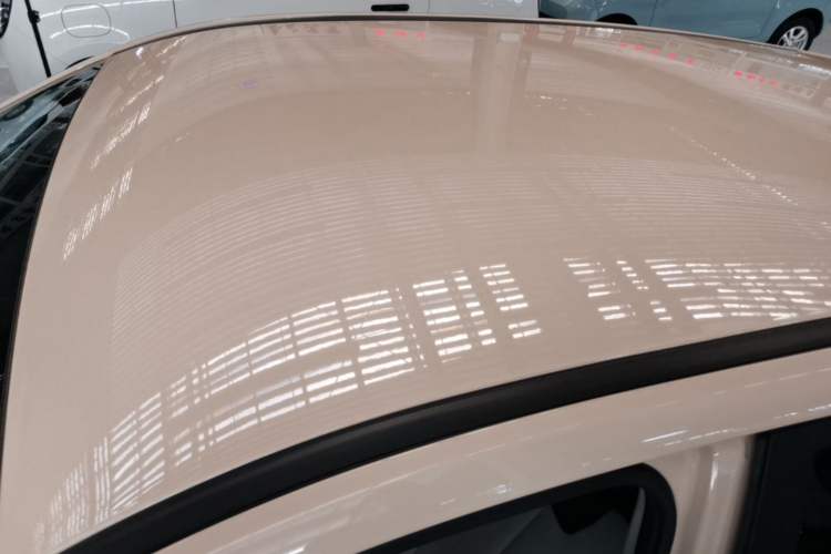 Used NETA AYA 2023 401 Roof