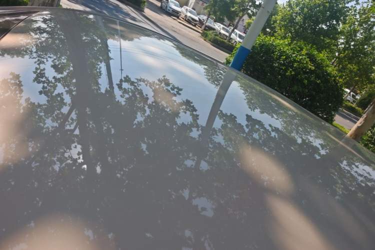 Used NETA AYA 2023 401 Roof