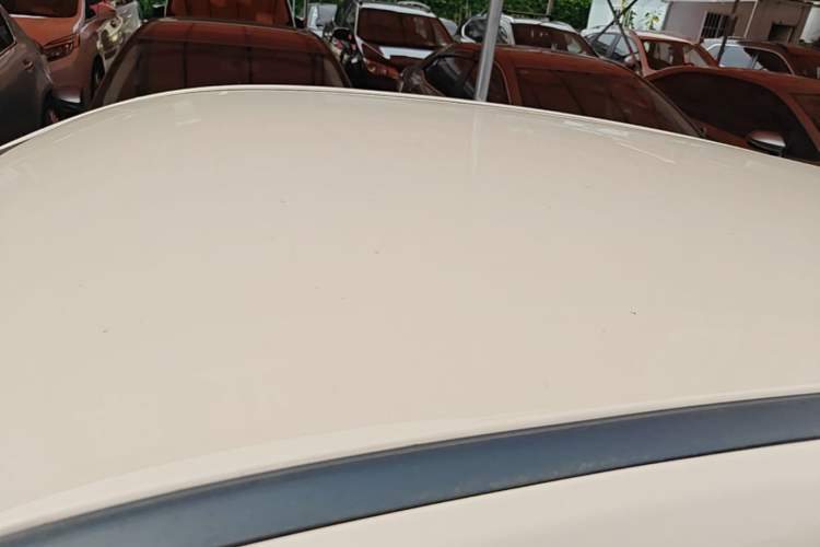 Used NETA AYA 2023 401 Lite Roof