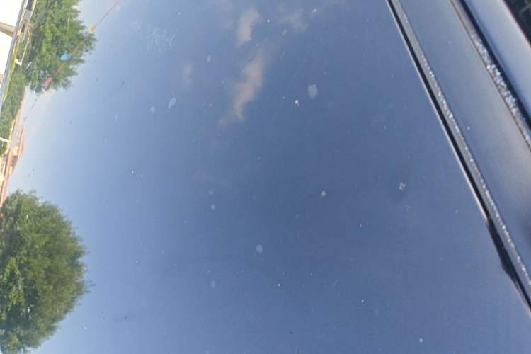 Used NETA AYA 2023 401 Roof