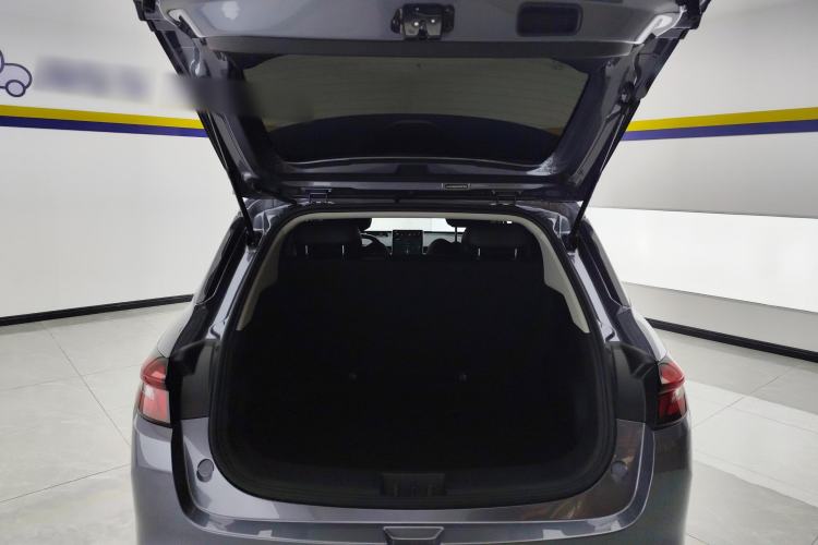 Used NETA AYA 2023 318 Lite Trunk