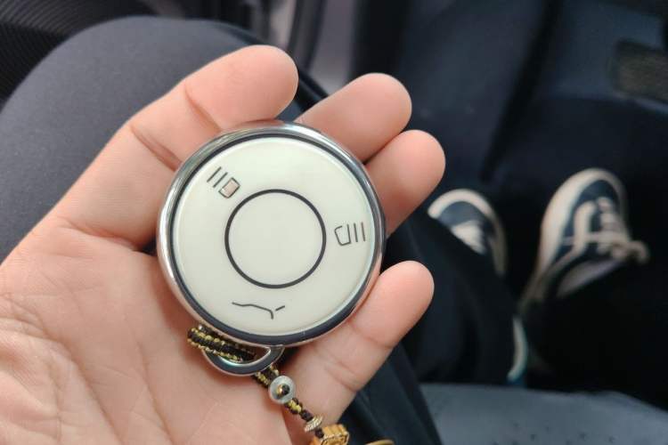 Used NETA AYA 2023 401 Lite Vehicle Key