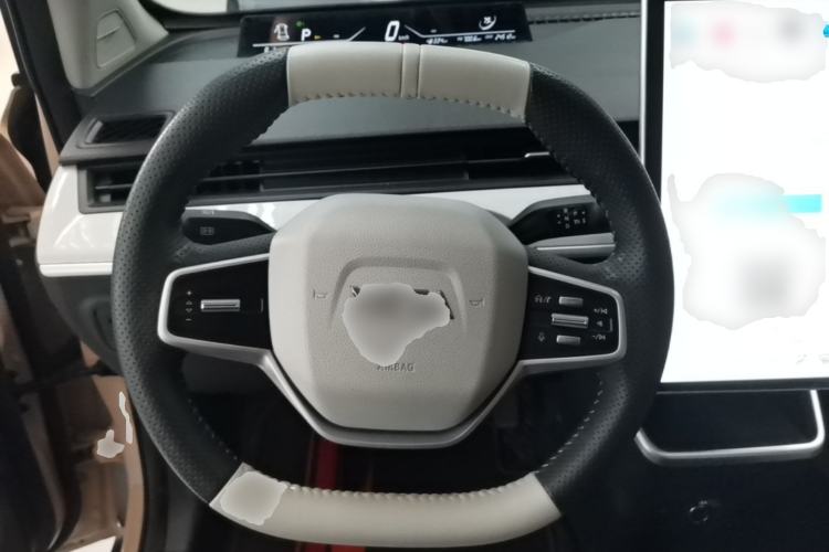 Used NETA AYA 2023 401 Steering Wheel