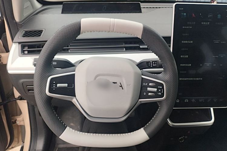 Used NETA AYA 2023 401 Lite Steering Wheel