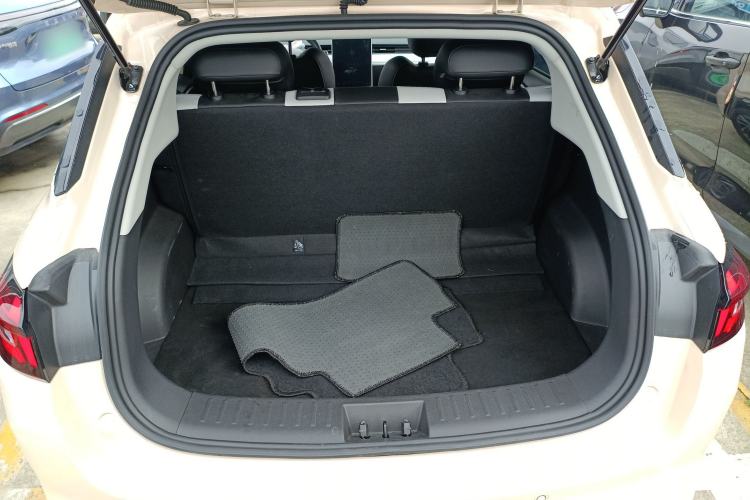 Used NETA AYA 2023 318 Lite Trunk