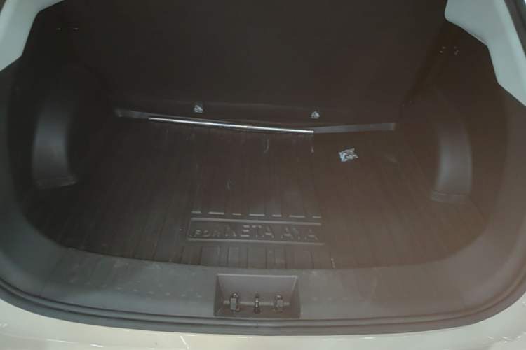 Used NETA AYA 2023 Revised Version 401 Lite Trunk