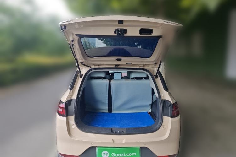 Used NETA AYA 2023 401 Lite Trunk