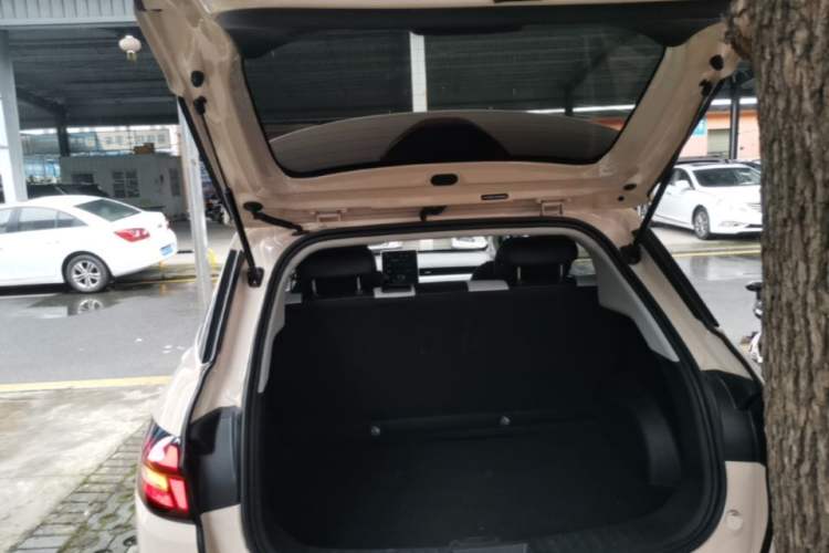 Used NETA AYA 2023 401 Lite Trunk
