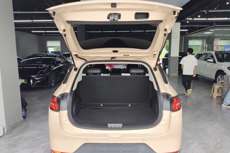 Used NETA AYA 2023 401 Lite Trunk
