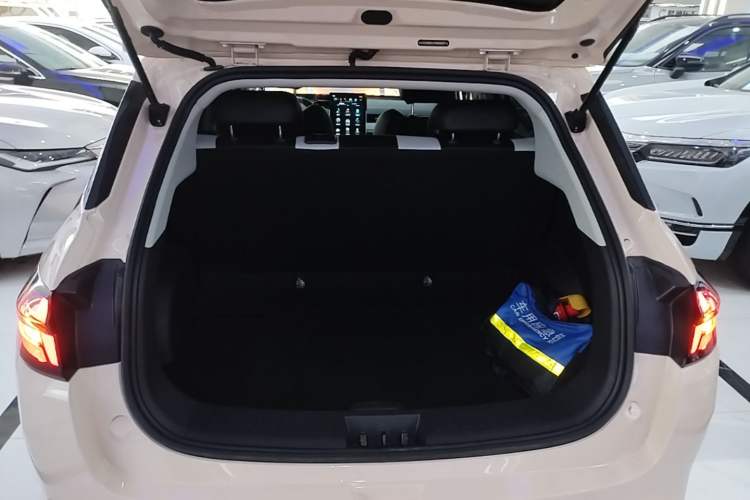 Used NETA AYA 2023 401 Trunk
