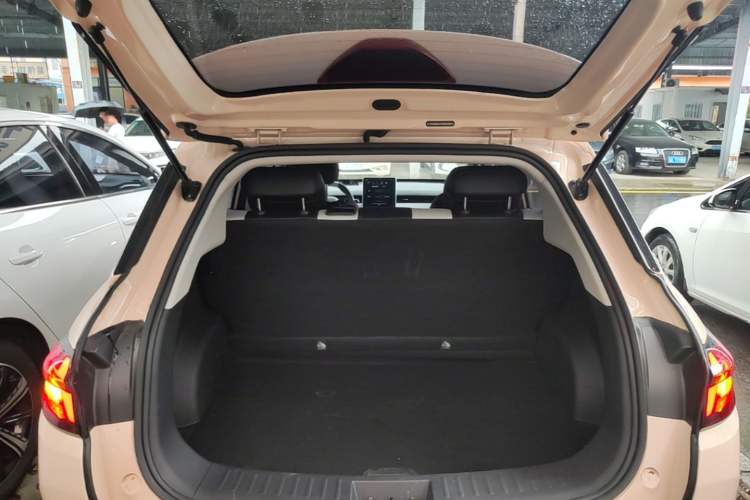 Used NETA AYA 2023 401 Lite Trunk