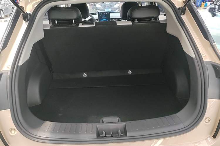 Used NETA AYA 2023 401 Lite Trunk