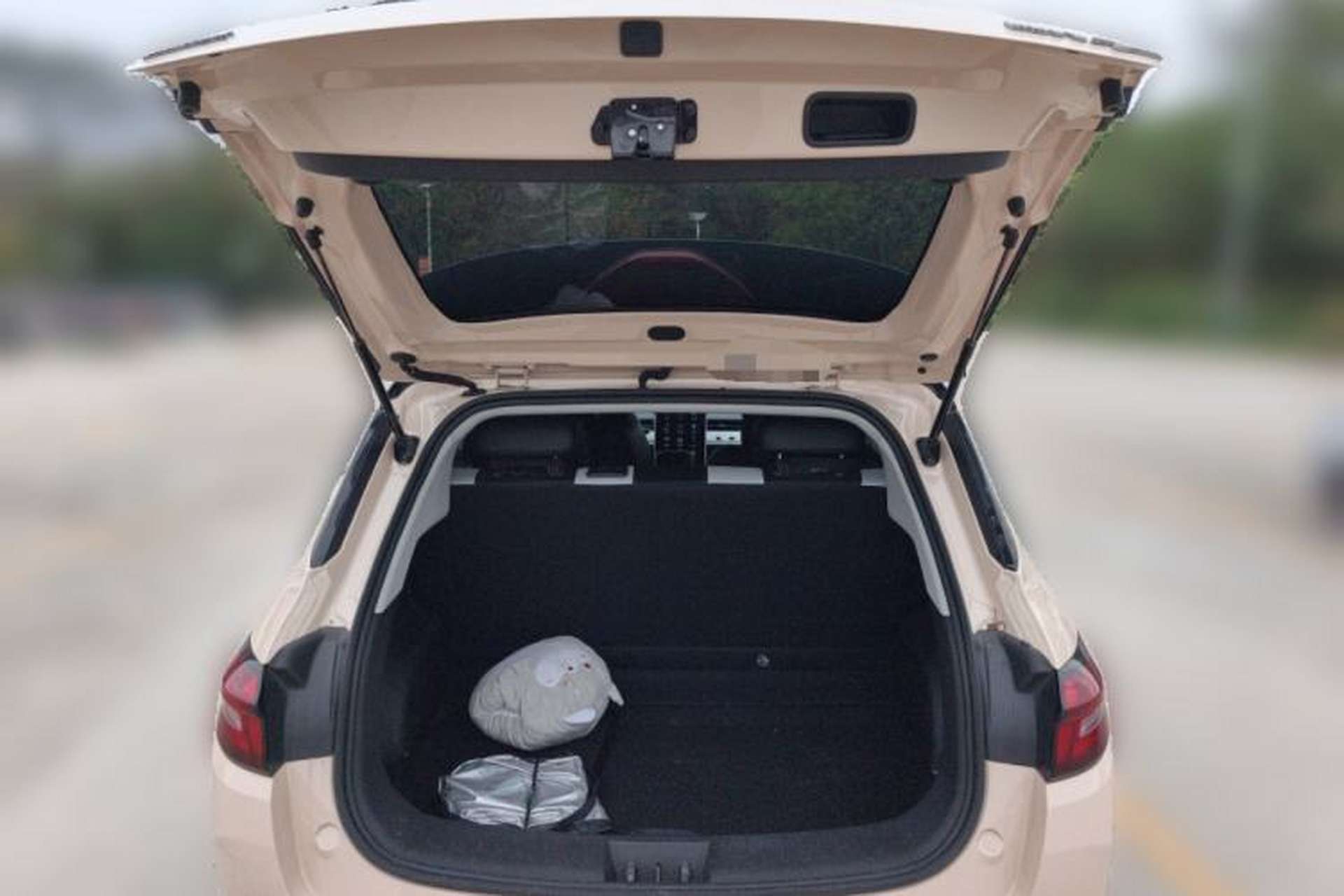 Used NETA AYA 2023 318 Lite Trunk