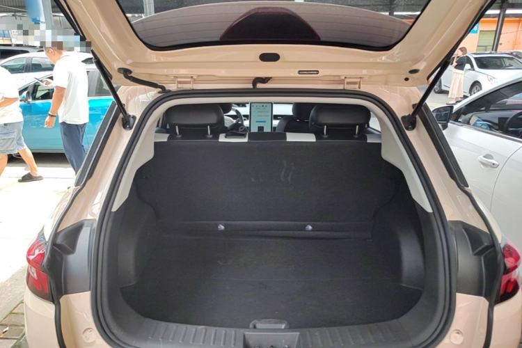 Used NETA AYA 2023 401 Lite Trunk