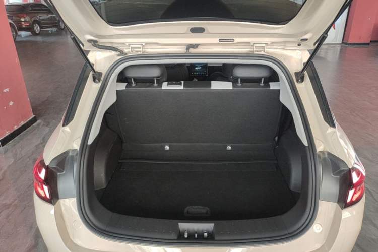 Used NETA AYA 2023 318 Lite Trunk