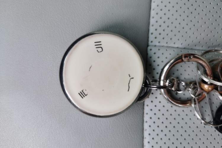 Used NETA AYA 2023 401 Lite Vehicle Key
