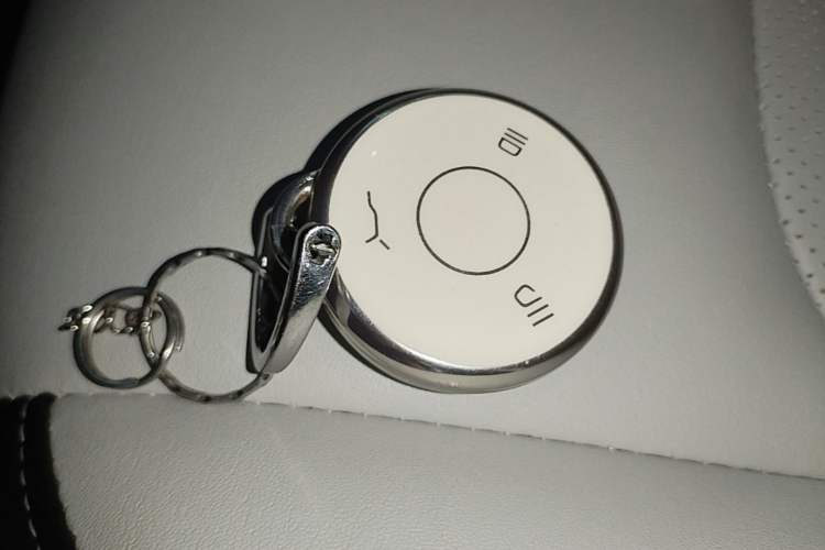 Used NETA AYA 2023 401 Vehicle Key