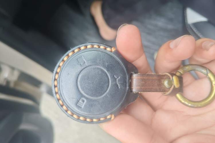 Used NETA AYA 2023 401 Lite Vehicle Key