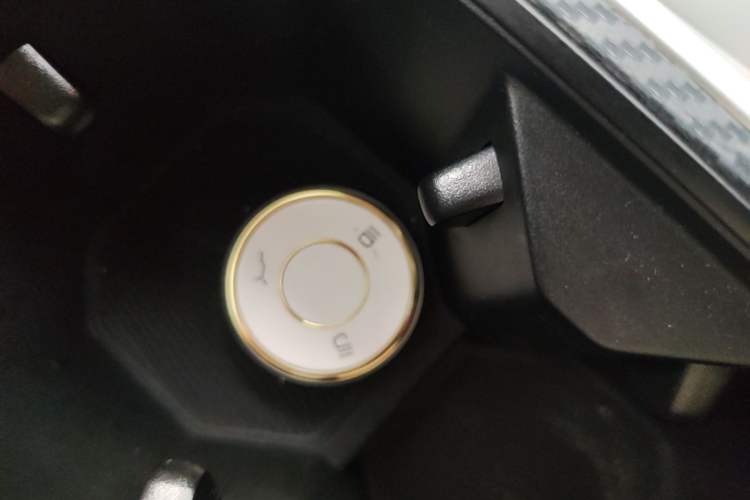 Used NETA AYA 2023 401 Lite Vehicle Key
