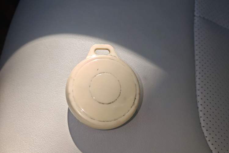 Used NETA AYA 2023 401 Vehicle Key