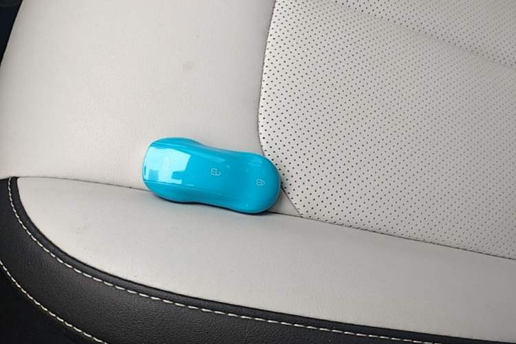Used NETA AYA 2023 401 Lite Vehicle Key