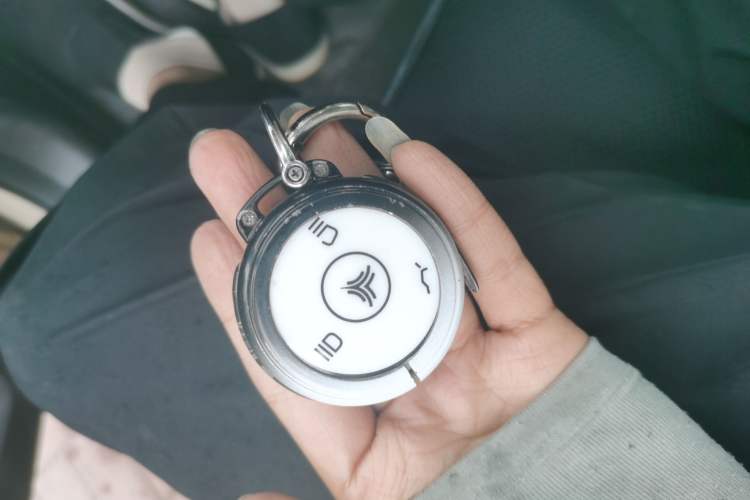 Used NETA AYA 2023 318 Lite Vehicle Key