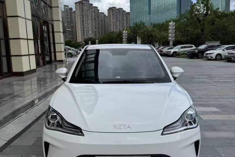 Used NETA AYA 2023 401 Lite Exterior 1