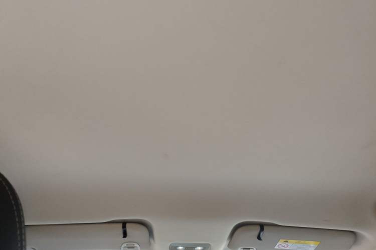 Used NETA AYA 2023 401 Headliner