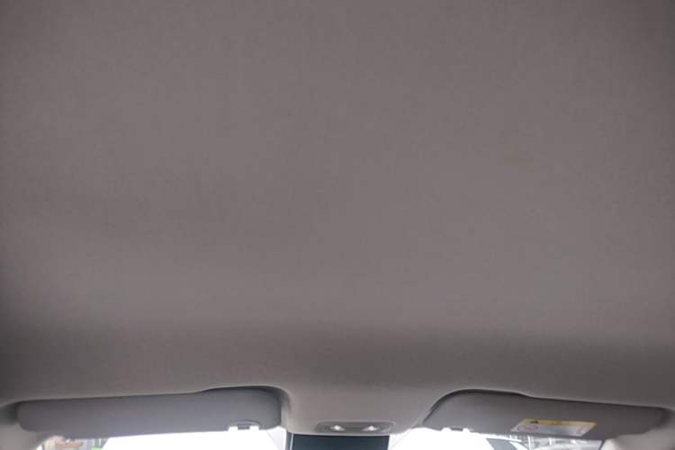Used NETA AYA 2023 401 Headliner