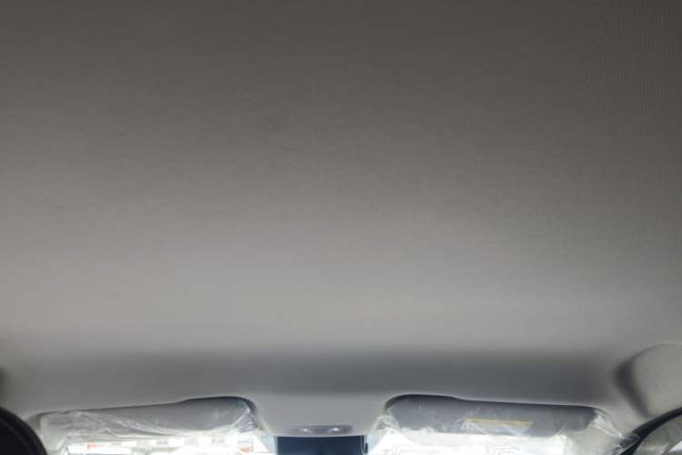 Used NETA AYA 2023 401 Lite Headliner