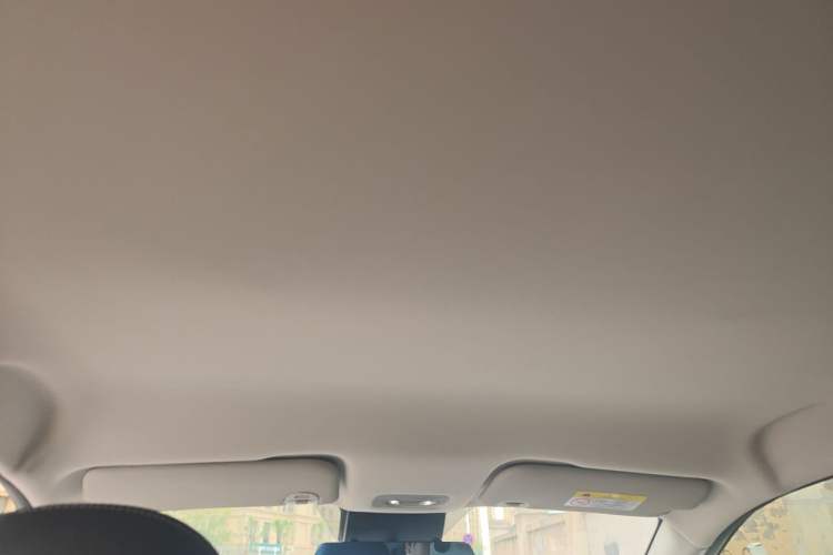 Used NETA AYA 2023 401 Lite Headliner