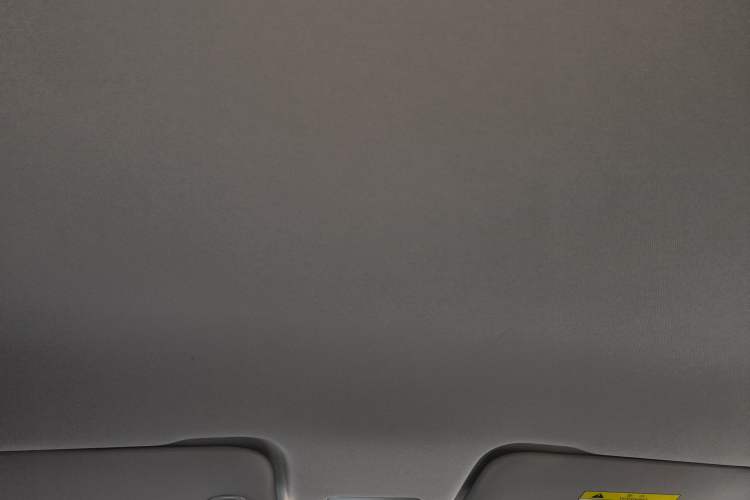 Used NETA AYA 2023 401 Lite Headliner