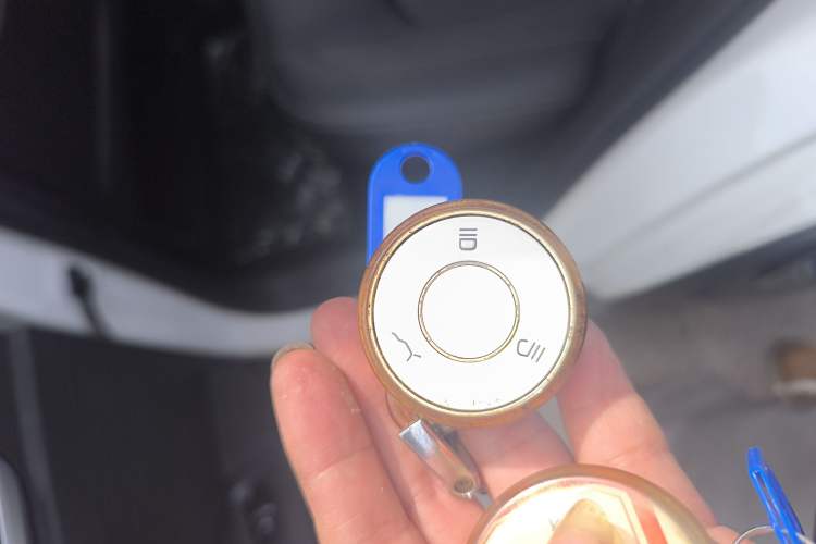 Used NETA AYA 2023 401 Lite Interior 1