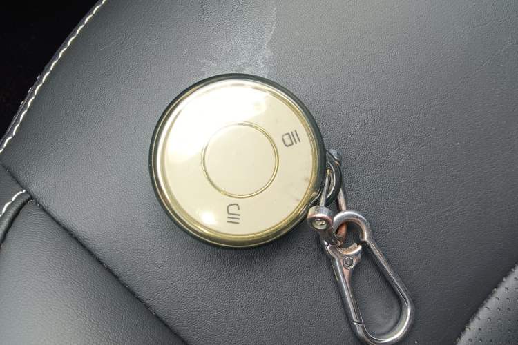 Used NETA AYA 2023 401 Lite Interior 1