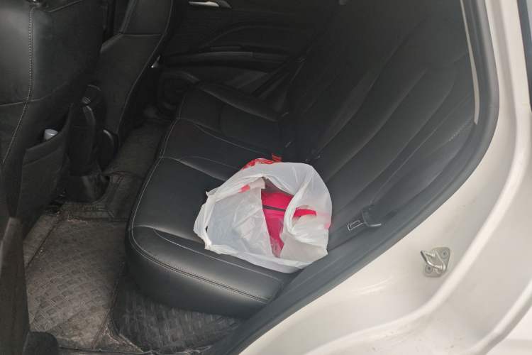 Used NETA AYA 2023 401 Lite Interior 4