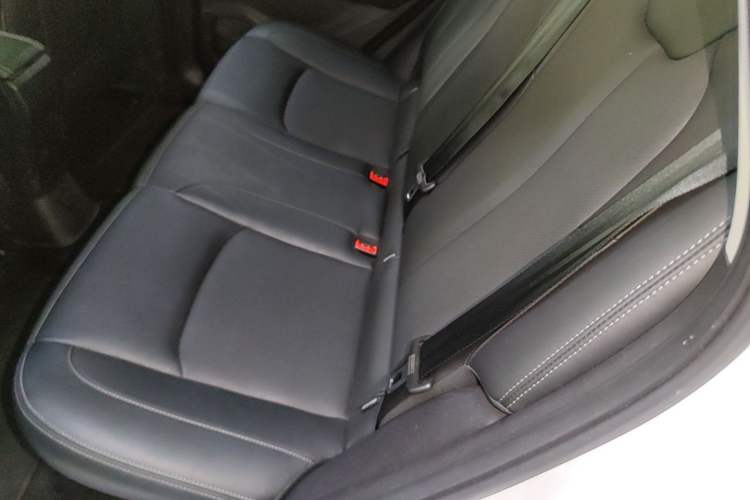Used NETA AYA 2023 318 Lite Left Rear Seat