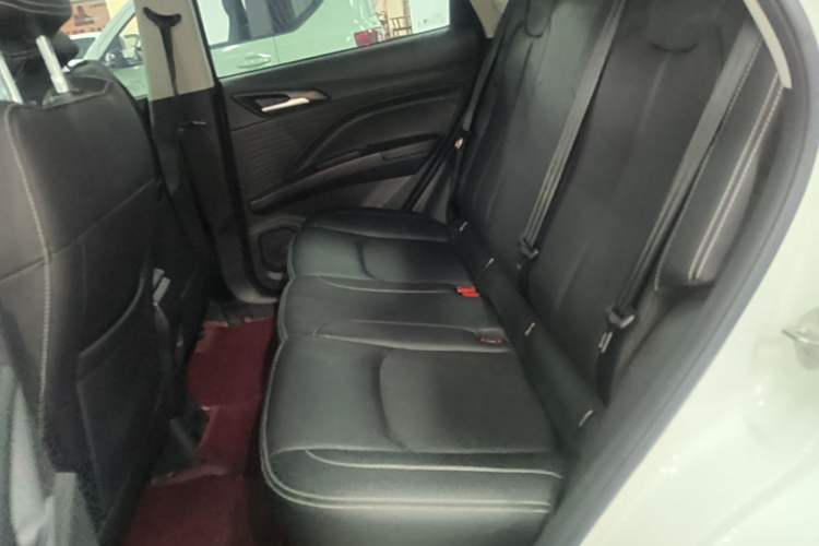 Used NETA AYA 2023 Revised Version 401 Lite Left Rear Seat